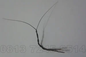 Arti dari Bulu Perindu: Pengertian dalam Dunia Spiritual