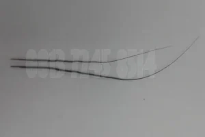 Ciri Ciri Buluh Perindu Asli yang Harus Anda Ketahui