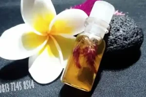 Minyak Jaran Goyang: Pelet Ampuh untuk Menarik Target