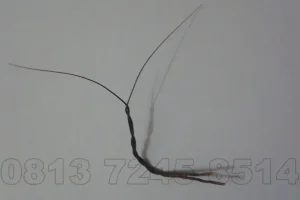 Pelet dengan Bulu Perindu: Cara Menggunakan dan Manfaatnya