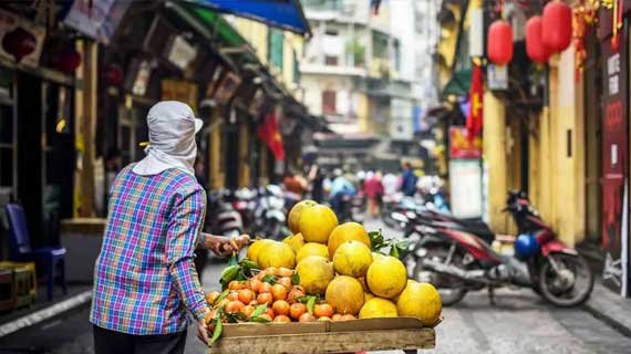 Bawang Putih Tunggal untuk Pelaris dengan Rahasia Energi Alami