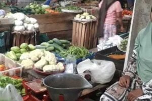 Cara Menggunakan Mani Gajah Untuk Dagang Dengan Mistikal