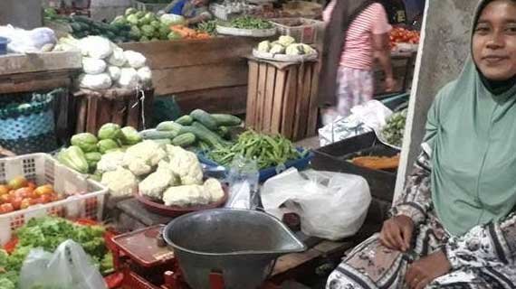 Cara menggunakan mani gajah untuk dagang