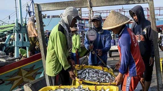 Penglarisan Dagang Tingkat Tinggi Rahasia Energi Rezeki
