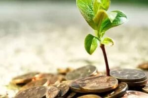 Cara Menggunakan Bulu Perindu Untuk Rezeki Melimpah