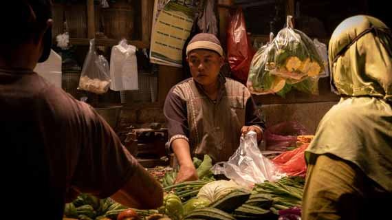 Manfaat bulu perindu untuk usaha